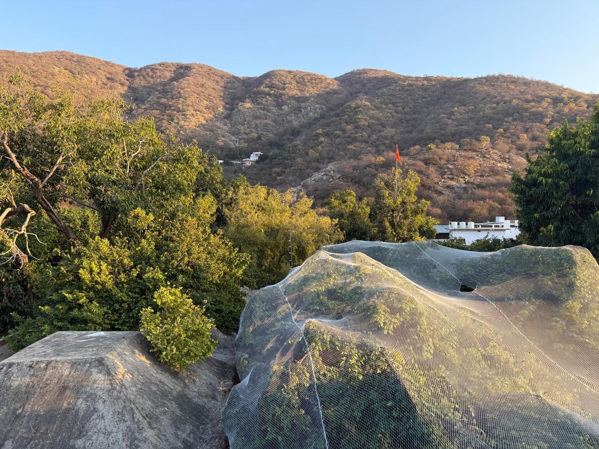 Hotel Green Heaven Resort Pushkar Eksteriør bilde