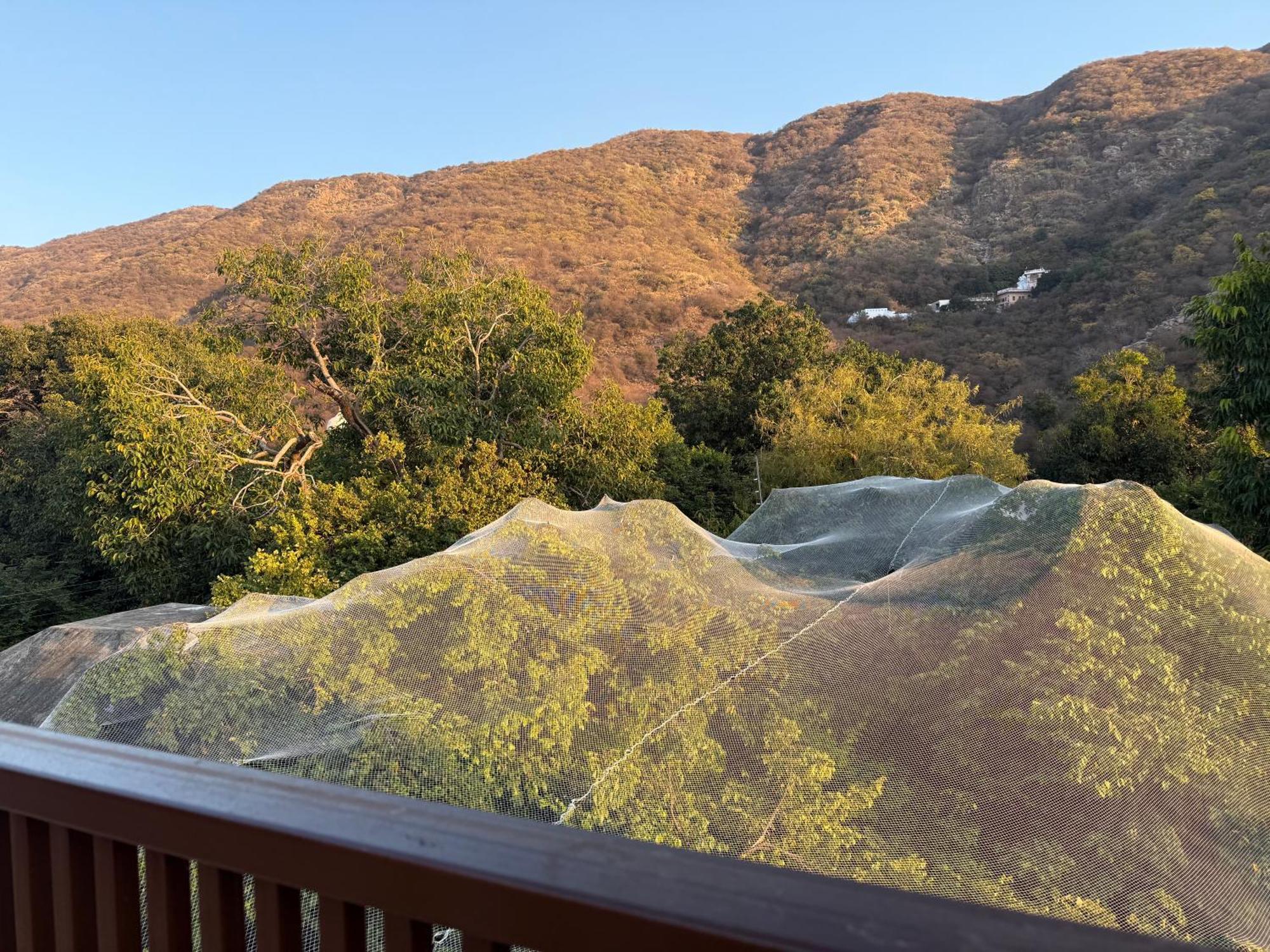 Hotel Green Heaven Resort Pushkar Eksteriør bilde