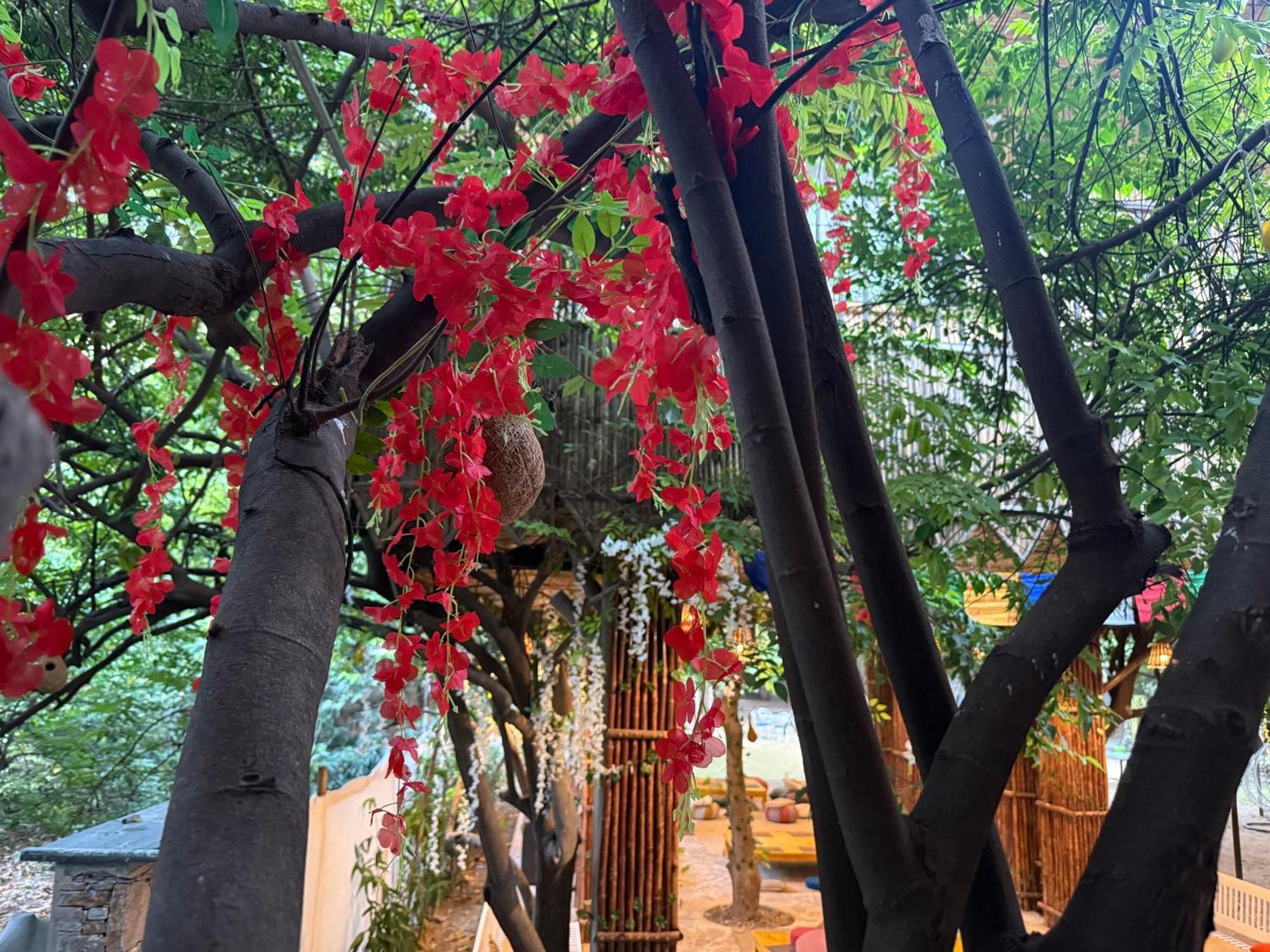 Hotel Green Heaven Resort Pushkar Eksteriør bilde