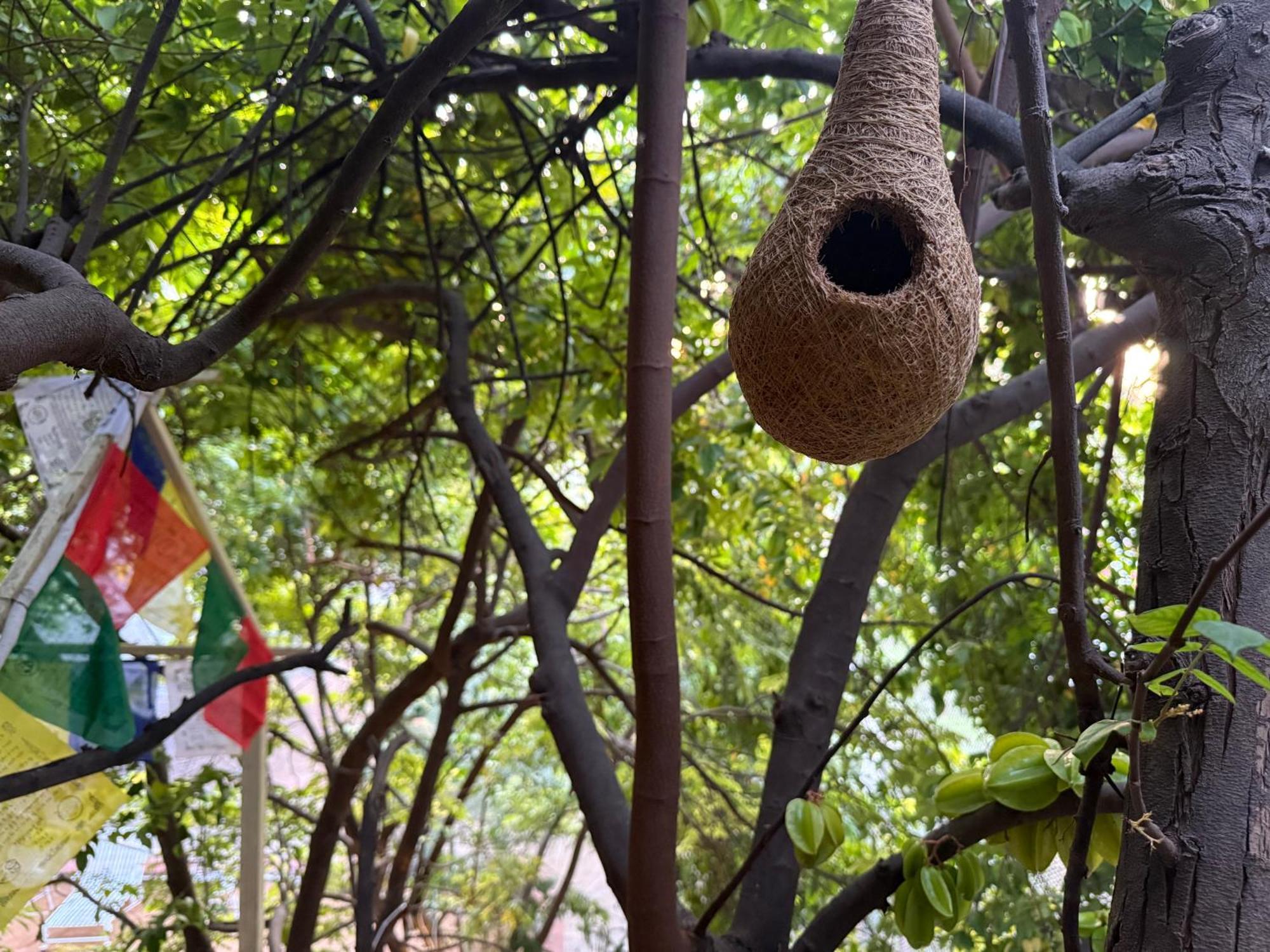 Hotel Green Heaven Resort Pushkar Eksteriør bilde