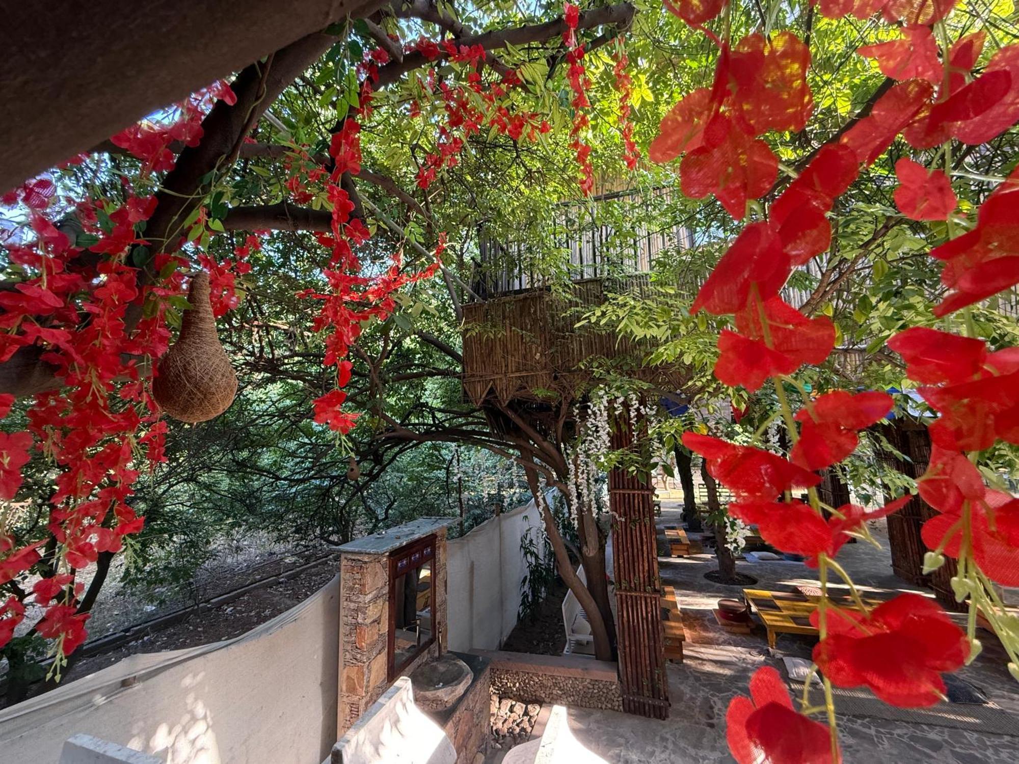 Hotel Green Heaven Resort Pushkar Eksteriør bilde