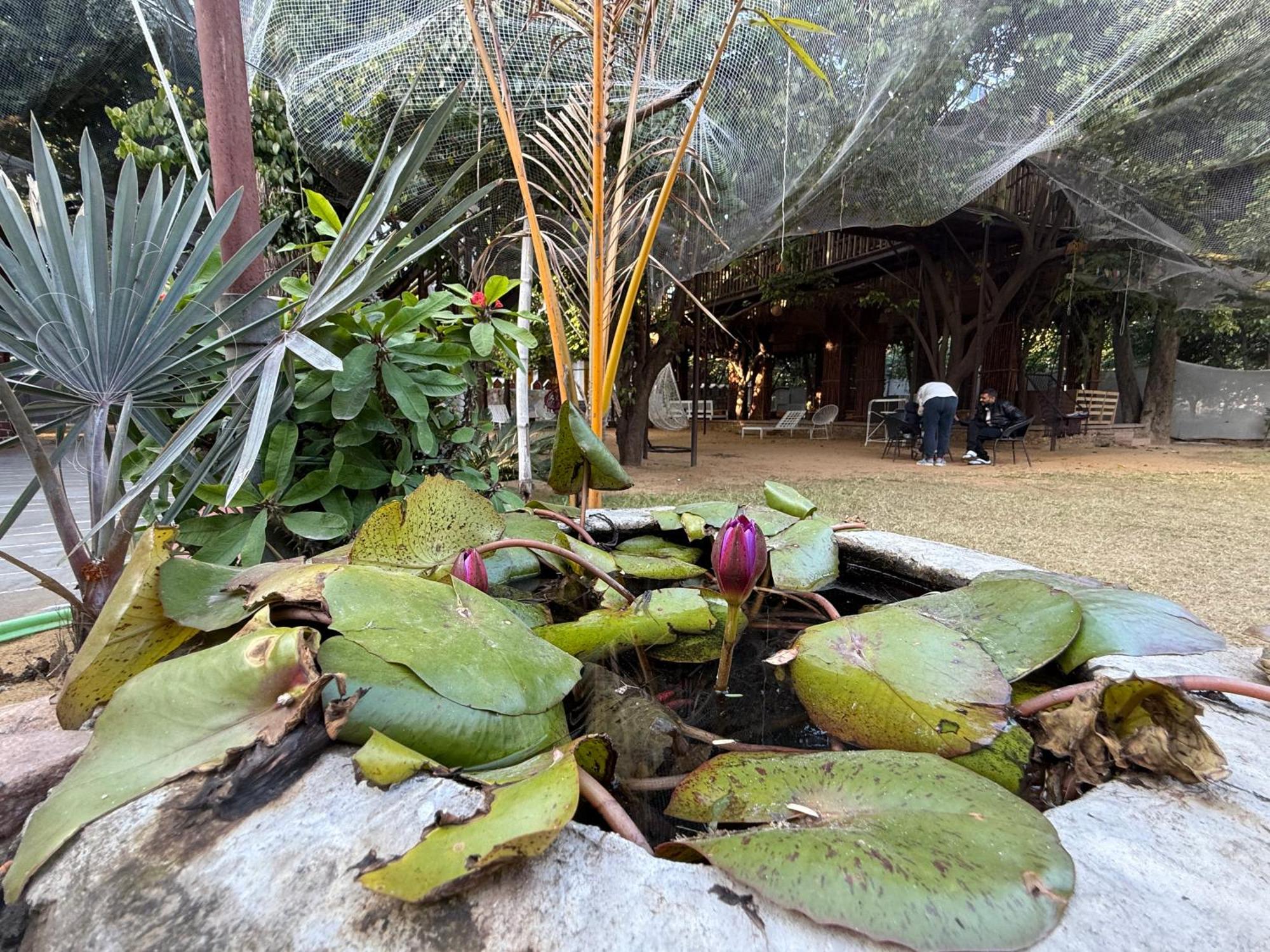 Hotel Green Heaven Resort Pushkar Eksteriør bilde