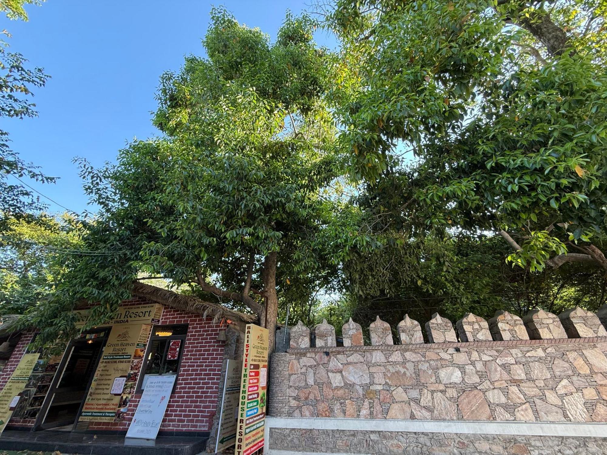 Hotel Green Heaven Resort Pushkar Eksteriør bilde